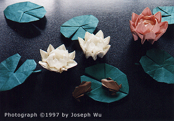origami stagno