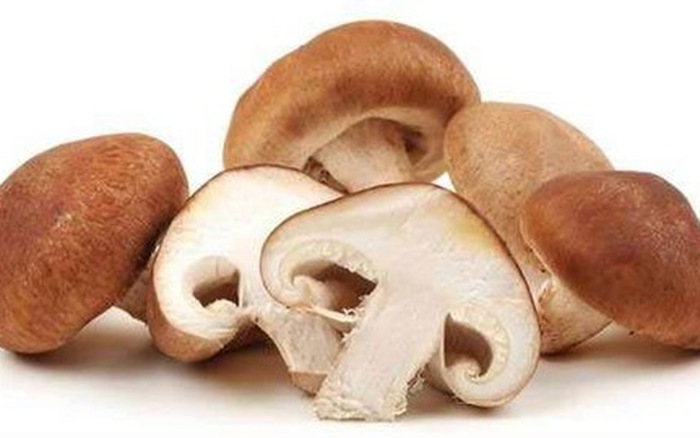 Shitake