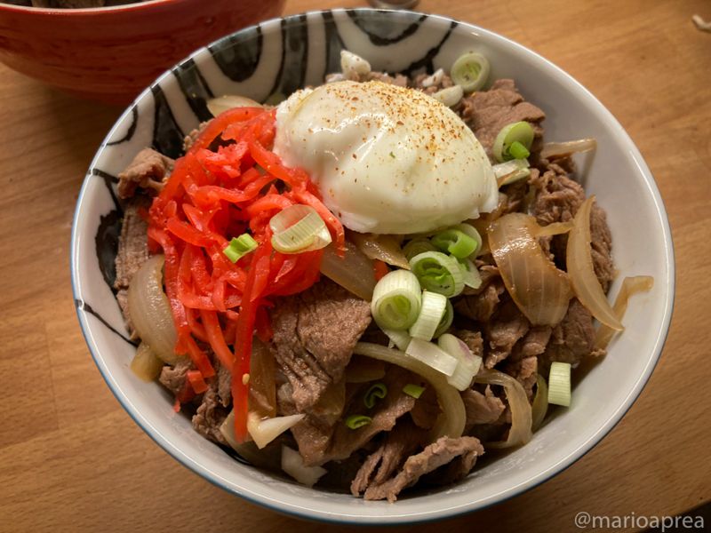 Ricetta gyudon riso con carne