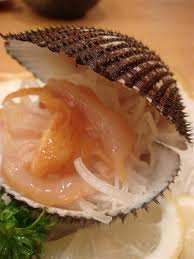 akagai sashimi