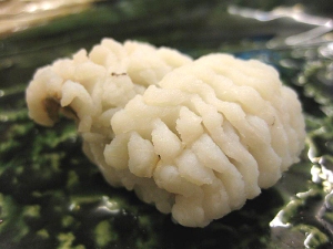 hamo sushi
