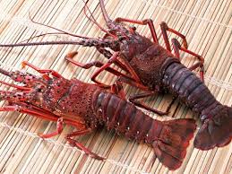 Ise-ebi