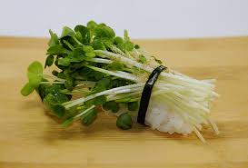 Kaiware
