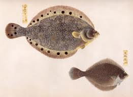 karei