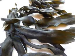 Kombu