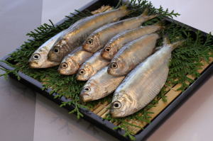 mamakari fish