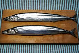 sanma