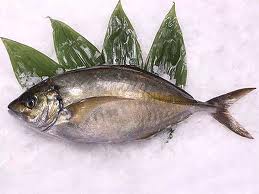 shima-aji
