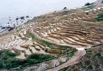 agricolture