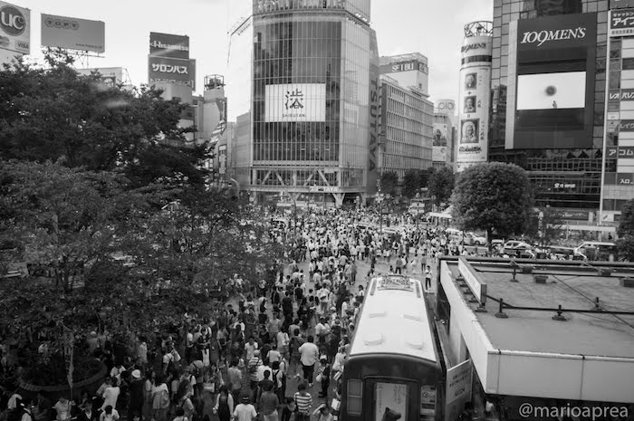 Incrocio di Shibuya