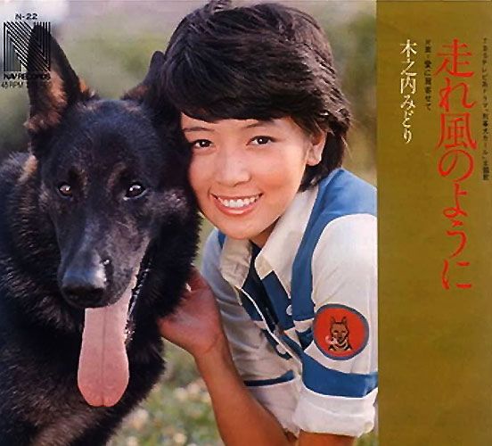 I drama o dorama giapponesi