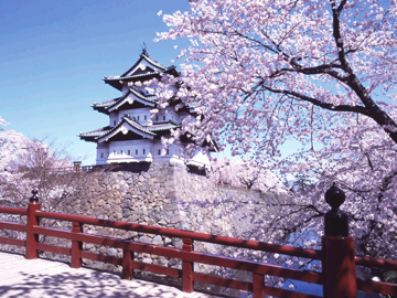 Aomori