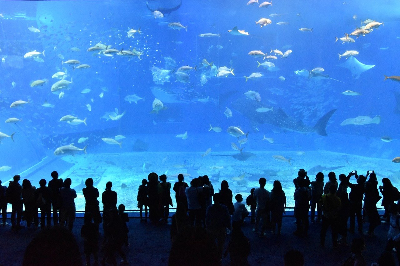 Acquario Churaumi