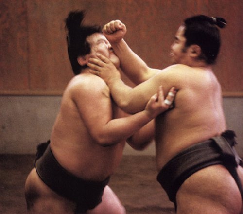 Sumo