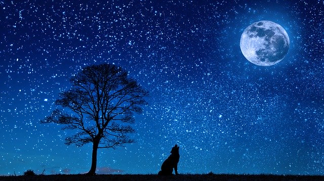 influenza lunare